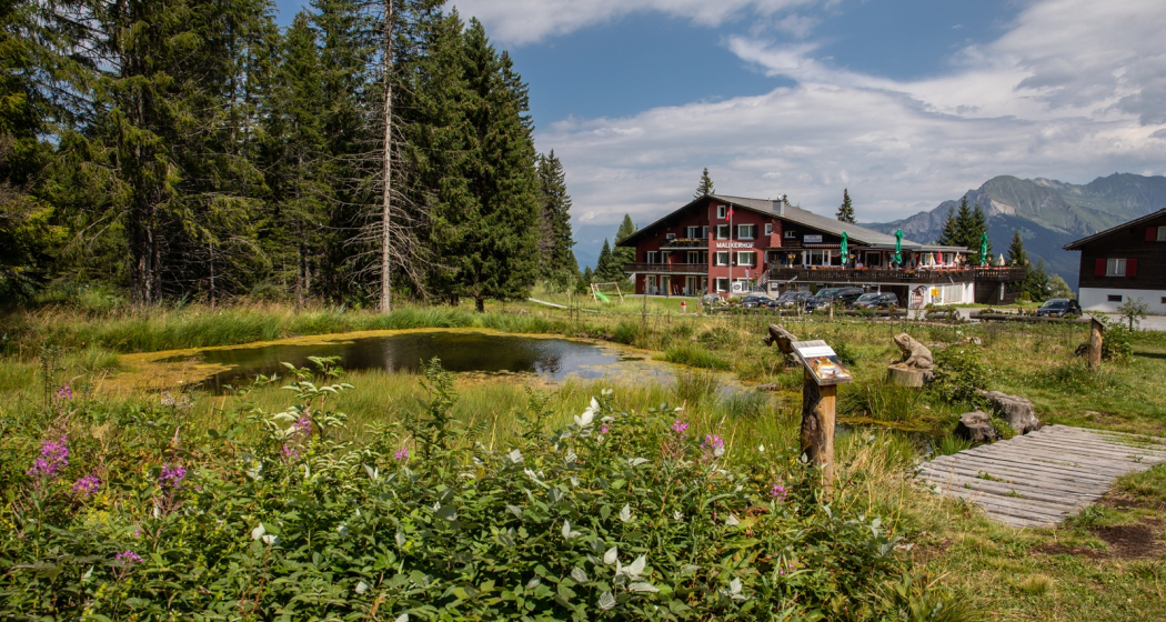 Malixerhof Brambrüesch im Sommer Malixerhof Brambrüesch im Sommer