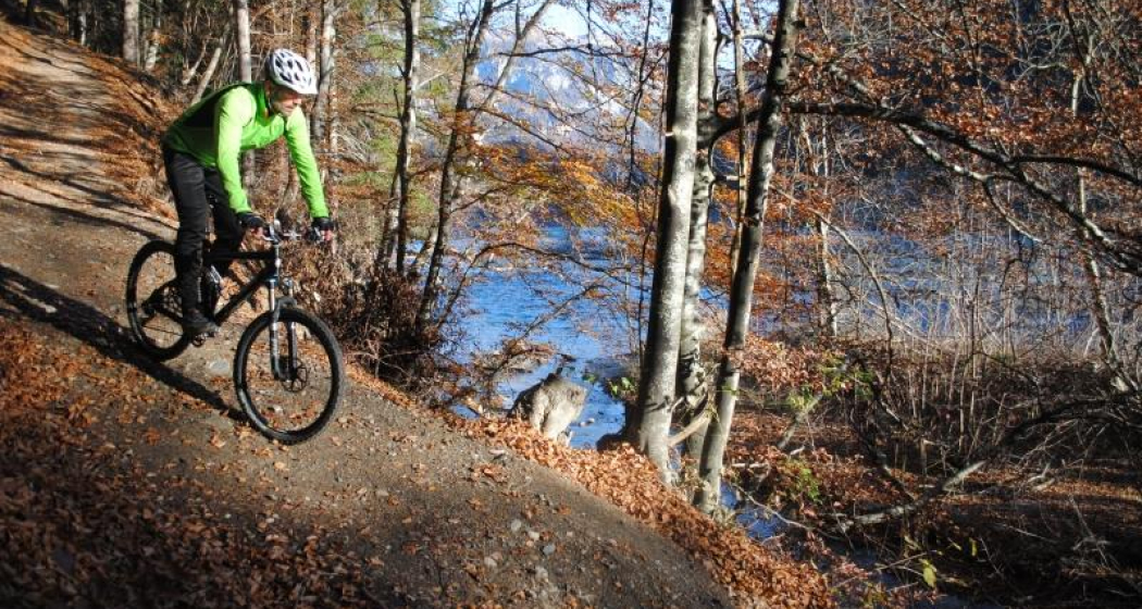 Rheinauen Ufer Rheinauen Ufer