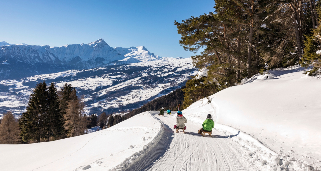 Schlittelweg Mutta - Nordhang - Feldis Schlittelweg Mutta - Nordhang - Feldis