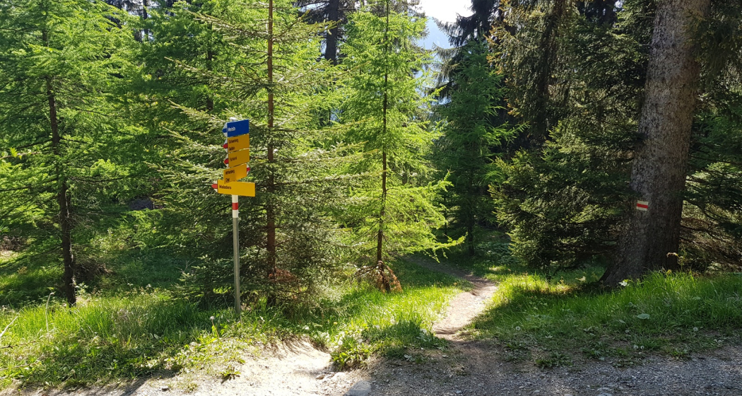Trail-Einstieg Trail-Einstieg