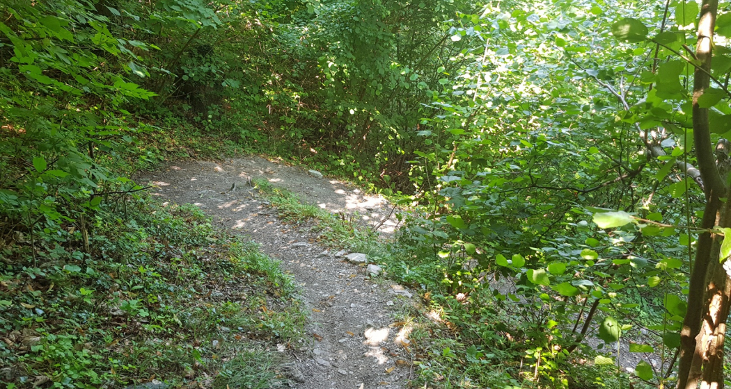 Zig Zag Trail - für Spitzkehren Liebhaber