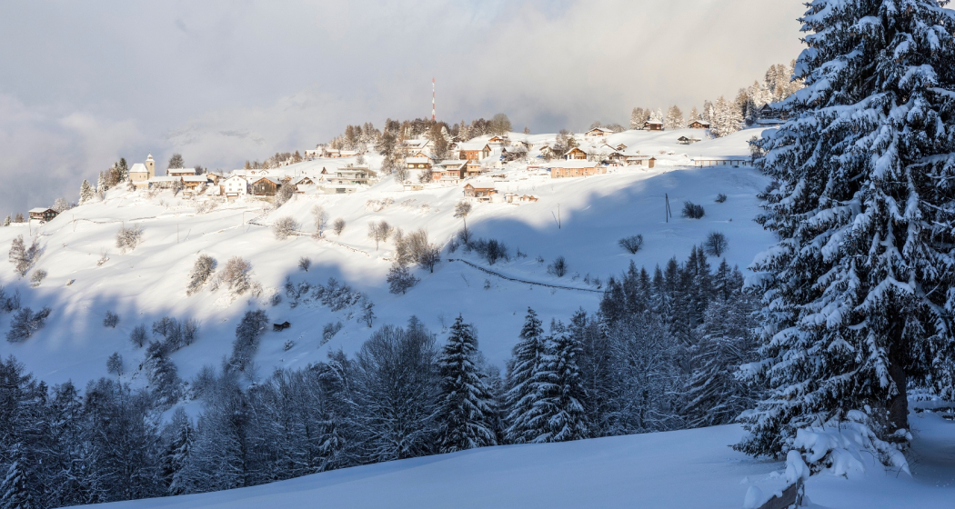 Feldis im Winter Feldis im Winter