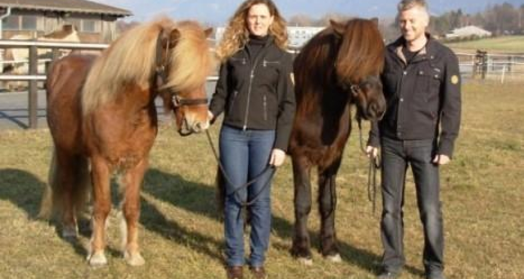 Reitschule & Reitstall Plarenga