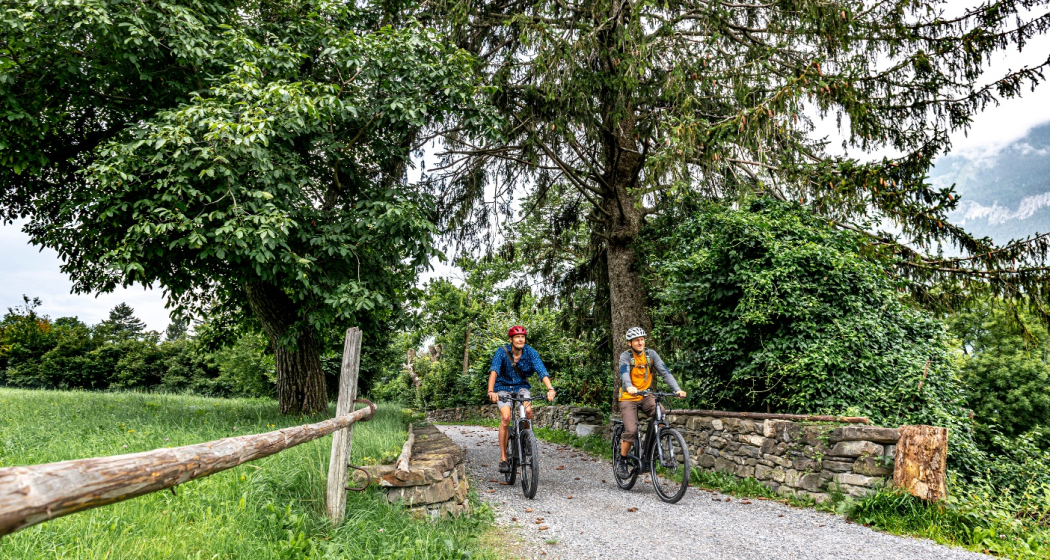 Trimmiser Mittelweg Trimmiser Mittelweg