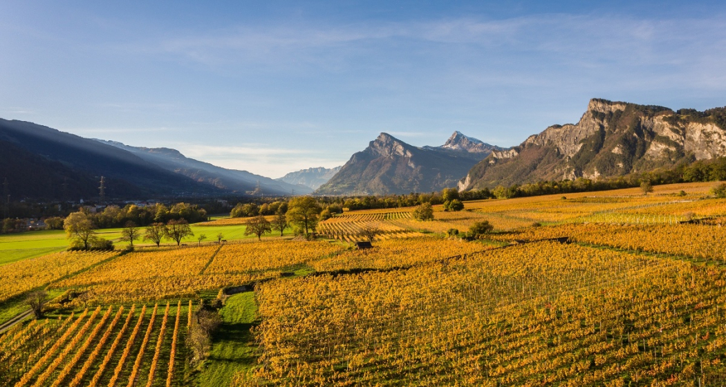 Blick auf die Weinbauregion Bündner Herrschaft Blick auf die Weinbauregion Bündner Herrschaft