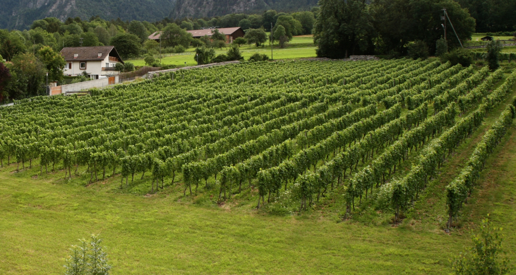 Zizers (oua_64502362_image)