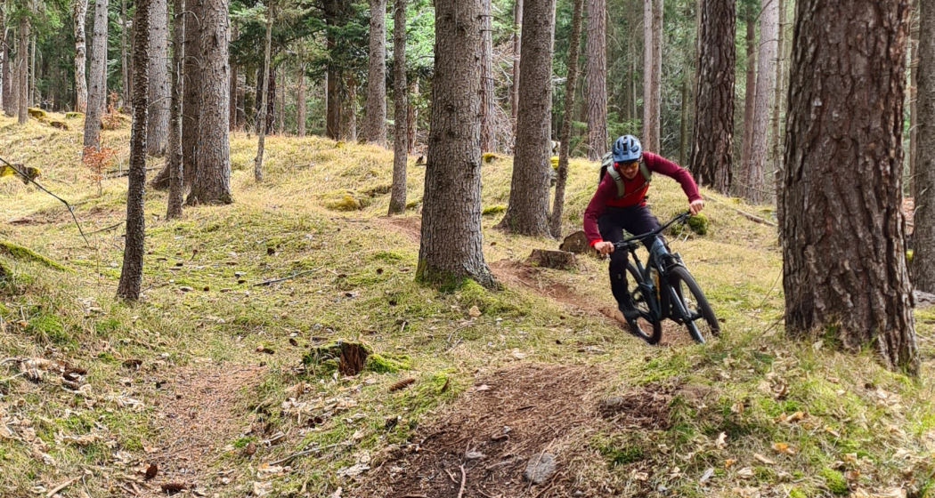 Scalära Trail im Fürstenwald Scalära Trail im Fürstenwald