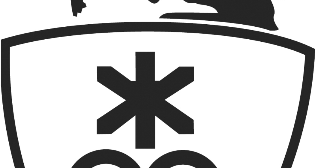 Vortrag bei der Rätischen Vereinigung für Familienforschung (gdl_852349675_image)