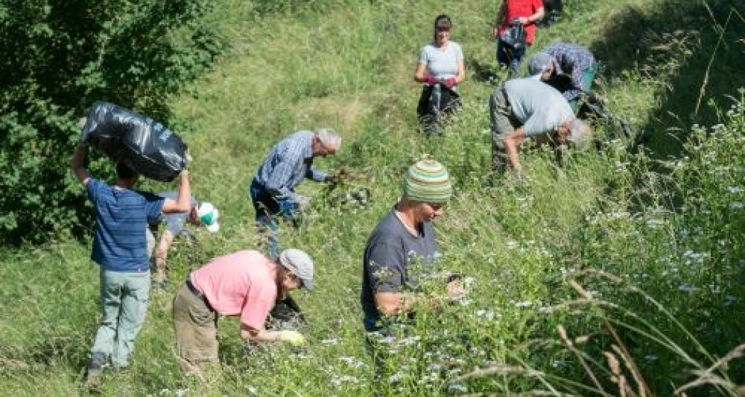 Natur z'Khur: Einsatz für das Naturparadies Schotsch (gdl_871096773_image) Natur z'Khur: Einsatz für das Naturparadies Schotsch (gdl_871096773_image)
