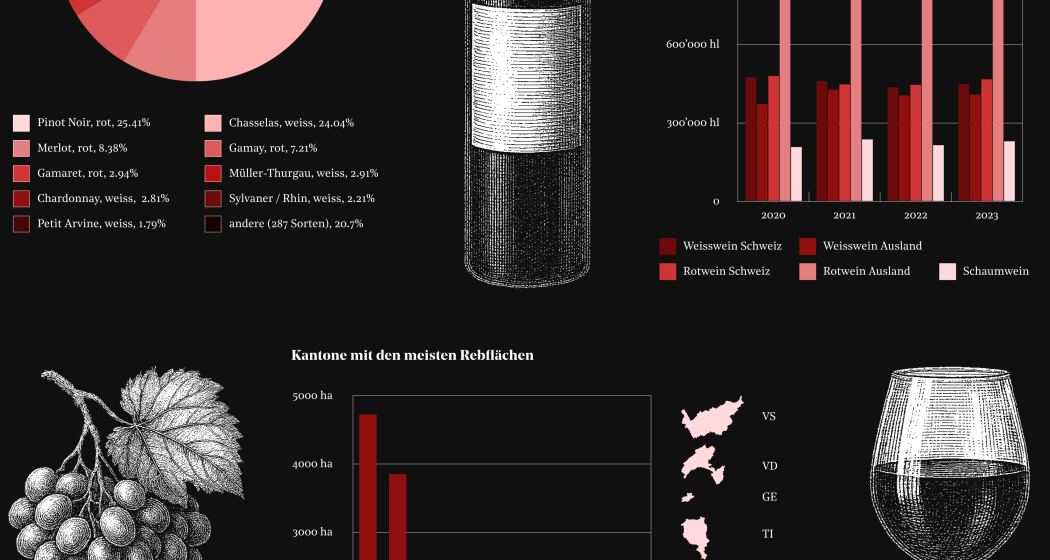 KaM_Von Trauben, Heidi und Gesundheit, wie Bilder die Welt verständlicher machen (gdl_902990353_image)