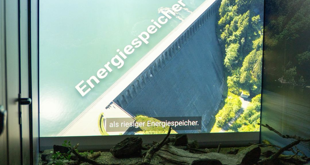 Klimastiftung Grischa (10) Klimastiftung Grischa (10)