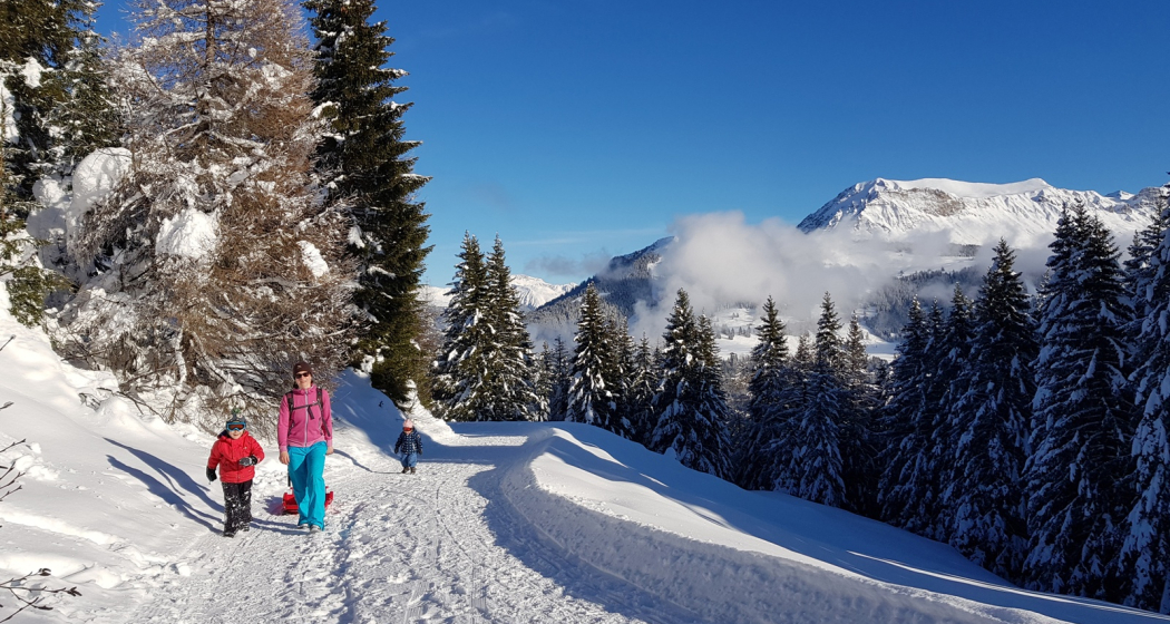Edelweissrundweg Brambrüesch