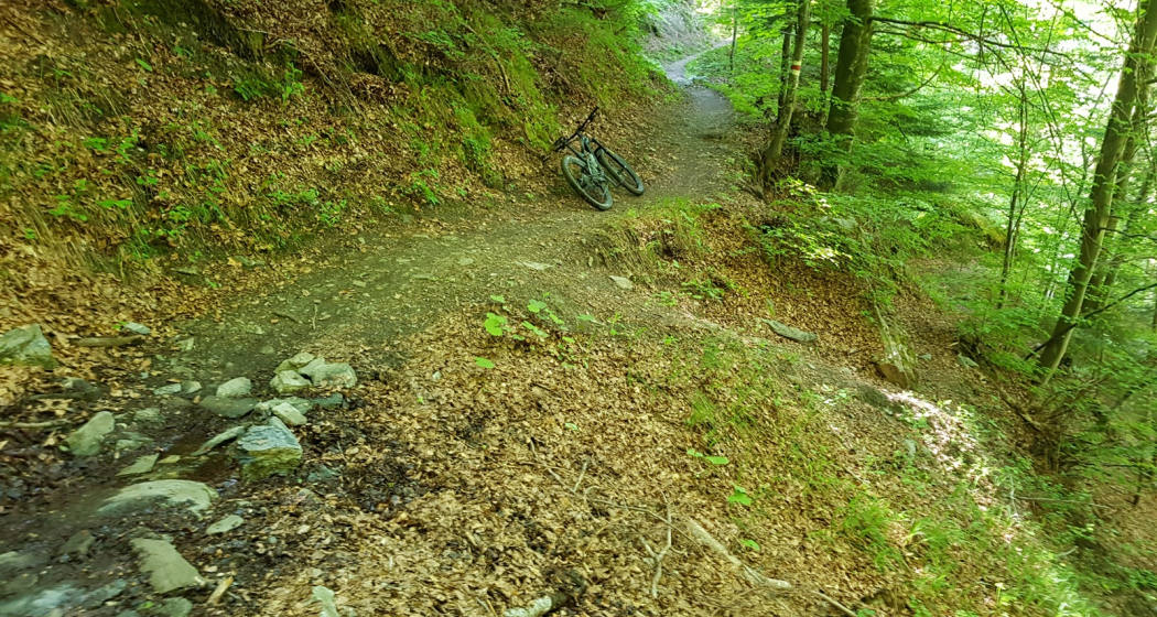 Trail-Einstieg Nasstobel Trail