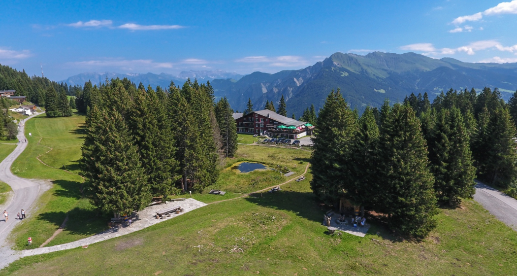 Malixerhof Brambrüesch im Sommer