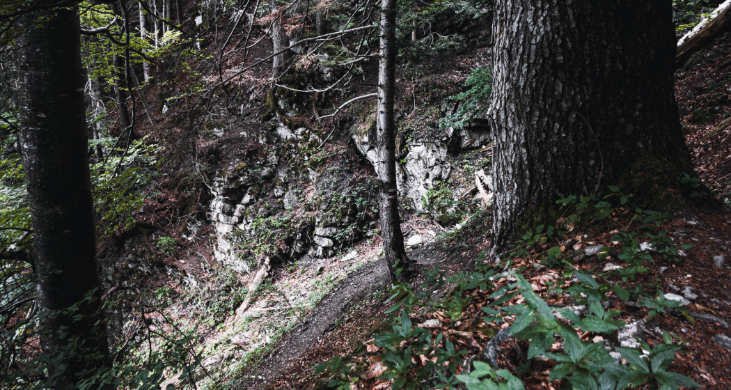 Kaltbrunntobel-Trail