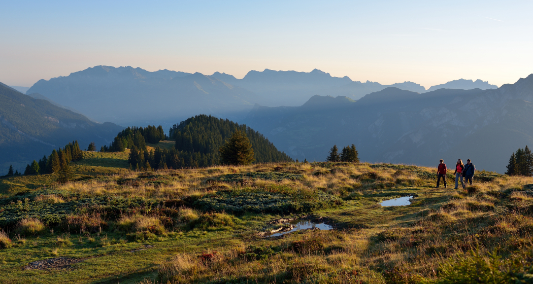 739 Dreibündenstein Panoramaweg