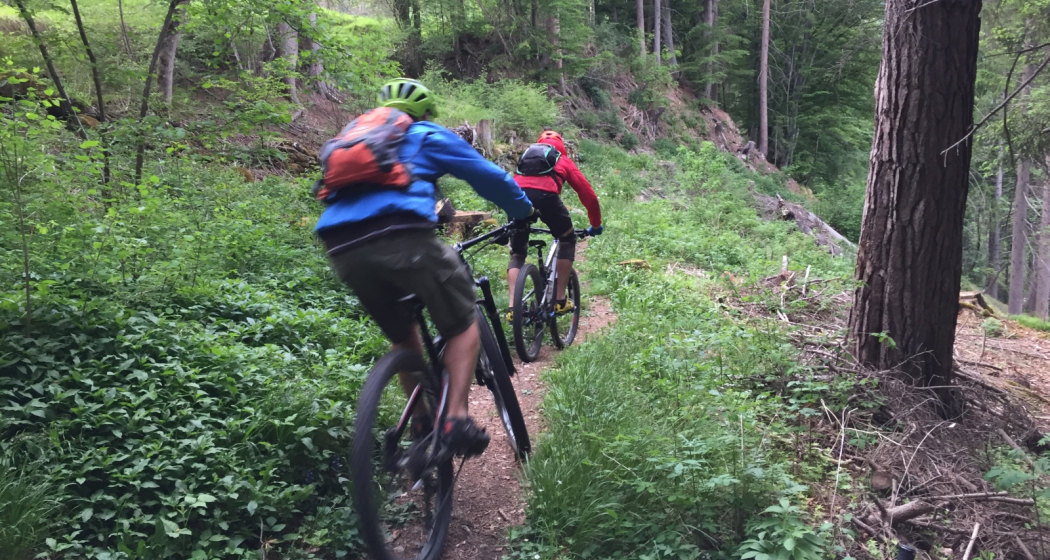 Trail zwischen Malix und Passugg