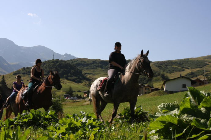 Reiten, Pferdeunterkunft