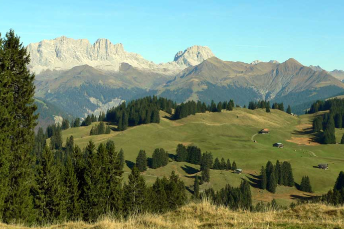 325 Furna - Trimmiser Alp (oua_2015772_image)