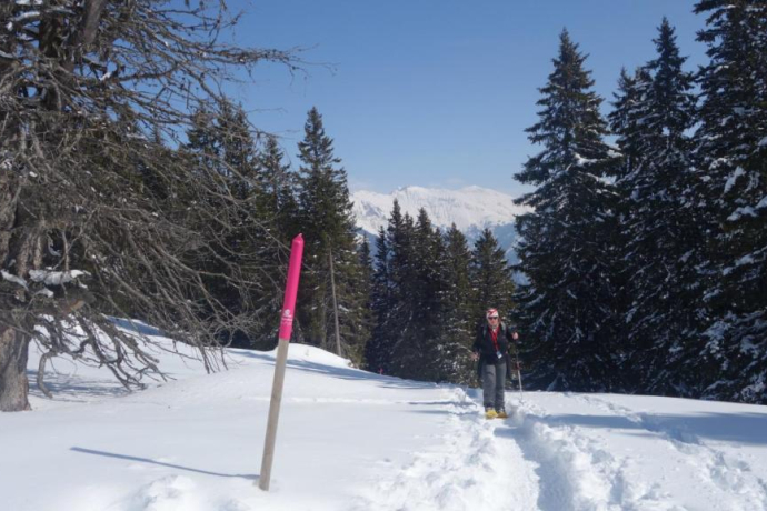 Aufstieg nach dem Spundiswald Aufstieg nach dem Spundiswald
