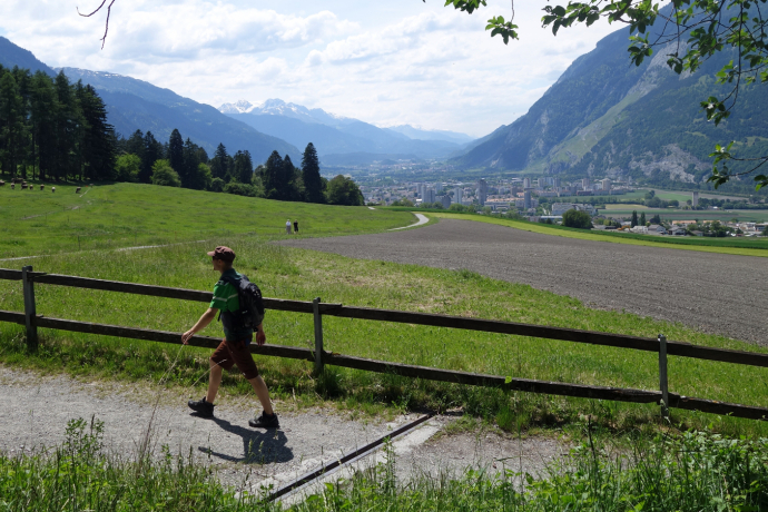 At the Fürstenwald with a view of the Rhine Valley