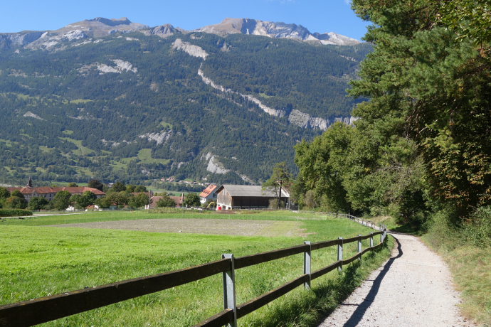 Fürstenwald mit Blick zum Calanda Fürstenwald mit Blick zum Calanda