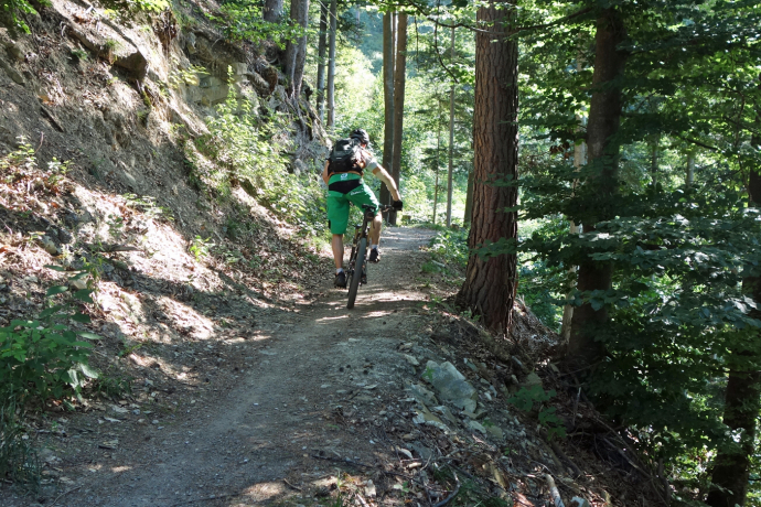 Trail-Spass in den Wäldern