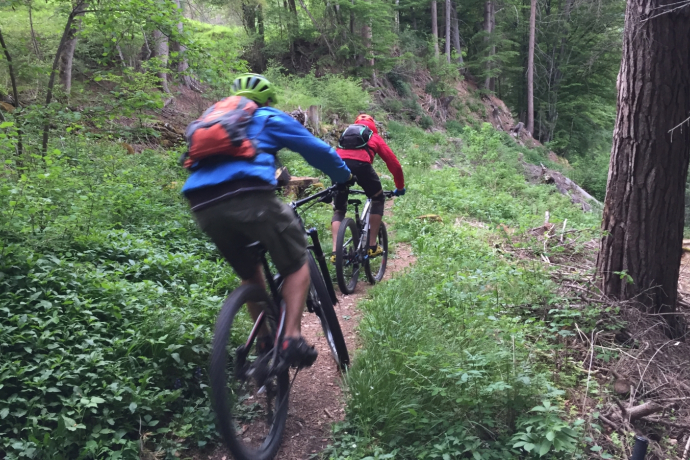 Trail zwischen Malix und Passugg Trail zwischen Malix und Passugg