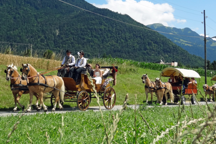 Horse-drawn carriage rides Scalärahof