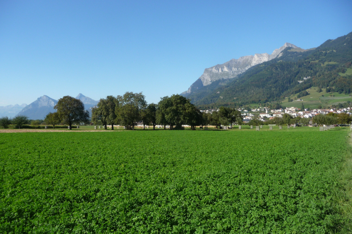 Willkommen im Winzerdörfchen Malans