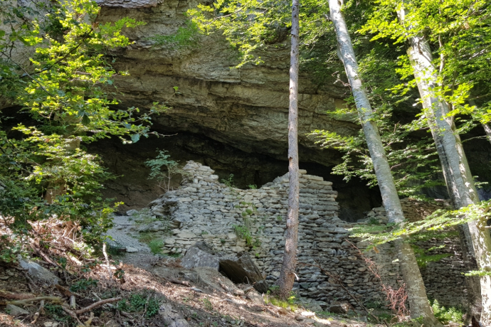 Ruine Burg Grottenstein bei Haldenstein Ruine Burg Grottenstein bei Haldenstein