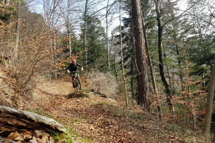 Nasstobel Trail Nasstobel Trail