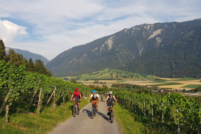 Aufstieg durch die Weinreben oberhalb Felsberg