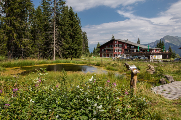 Malixerhof Brambrüesch in summer