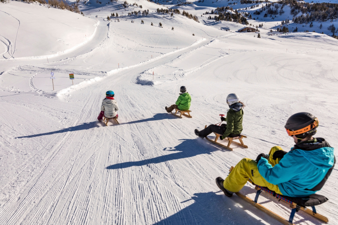 Toboggan run Mutta - south slope - Feldis