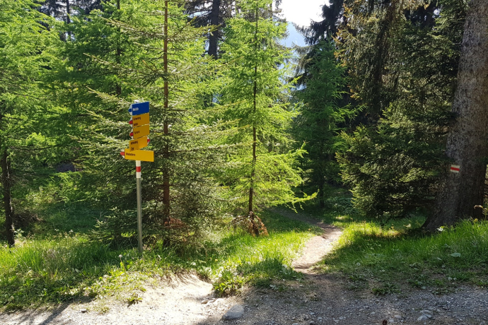 Trail-Einstieg Trail-Einstieg