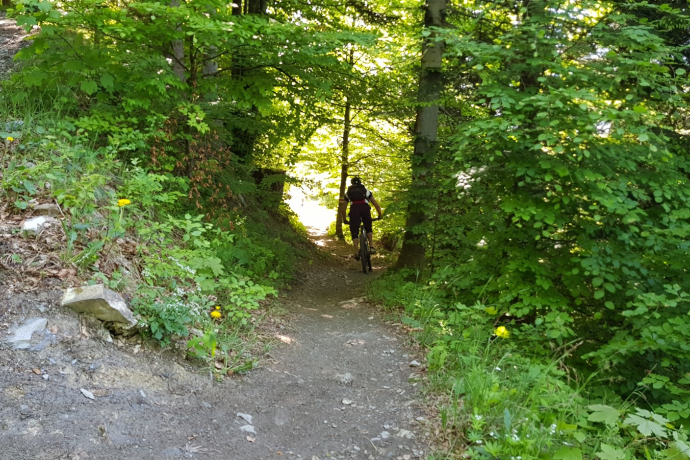 Mittenberg Freeride Mittenberg Freeride