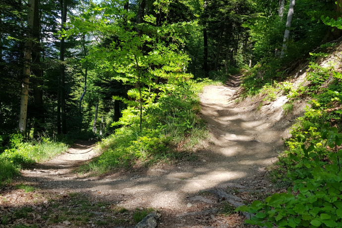 Mittenberg Freeride Mittenberg Freeride