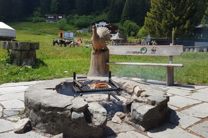 Fireplace Brambrüesch