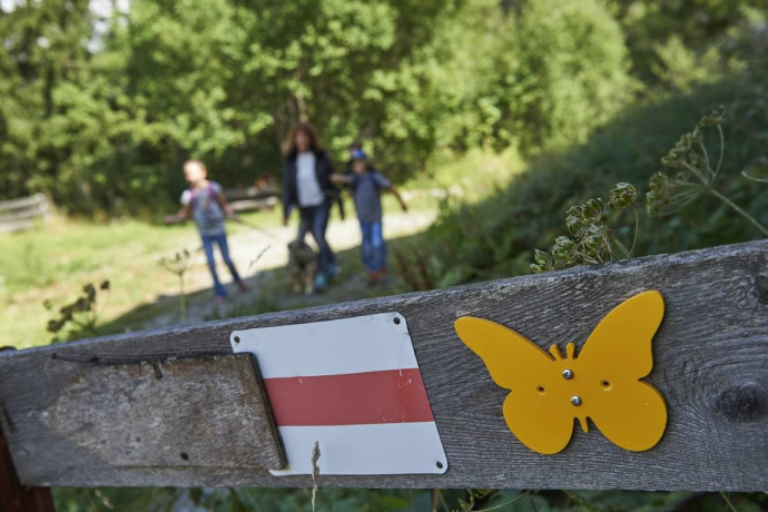 Butterfly Trail Tschiertschen