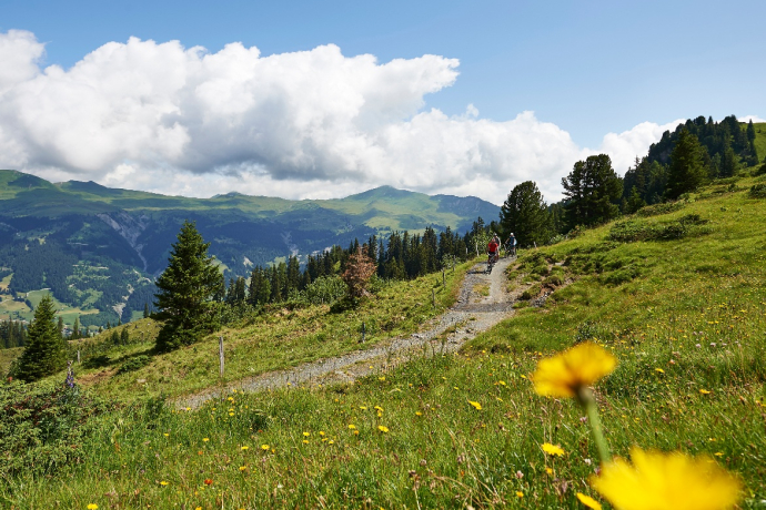 Arosa Lenzerheide Round Trip