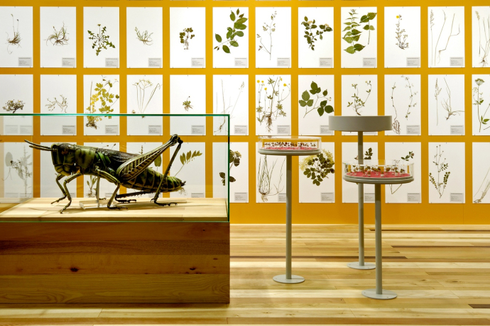 Bündner Naturmuseum