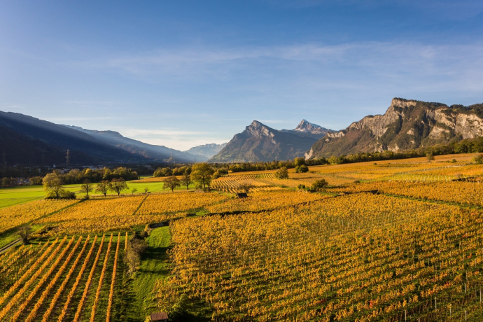 View of the wine-growing region of Graubünden Herrschaft