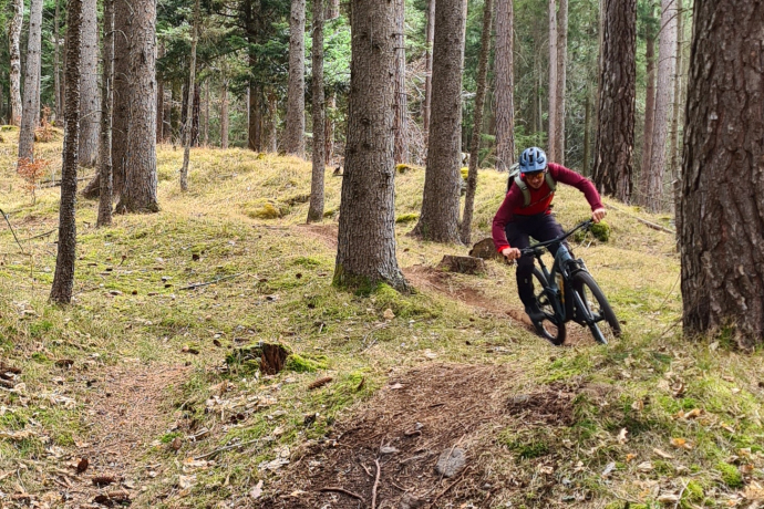 Scalära Trail im Fürstenwald