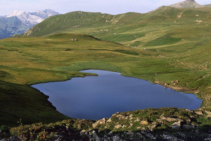 90.03 Graubünden Bike Etappe 3 Untervaz - Küblis (oua_9299276_image)