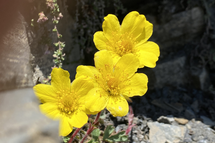 Seniorennachmittag (gdl_665014075_image)