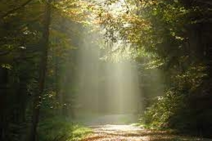 Confirmation classes (gdl_797625975_image)