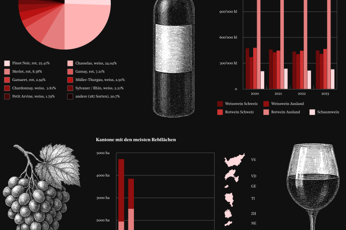 KaM_Von Trauben, Heidi und Gesundheit, wie Bilder die Welt verständlicher machen (gdl_902990353_image)