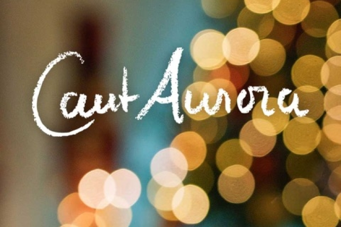 Konzert: Weihnachts-Oratorium von J. S. Bach (gdl_903494688_image)