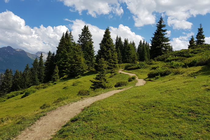 Wanderung Brambrüesch - Pradaschier